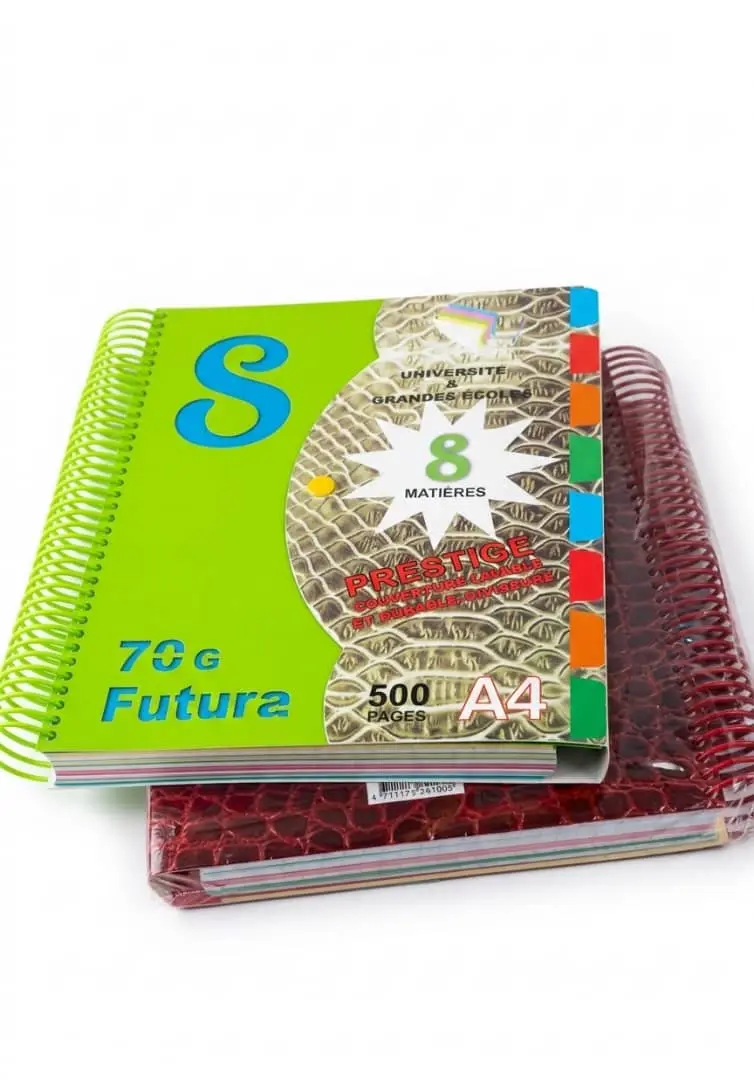 CAHIER SPIRAL 500P GF multicouleur