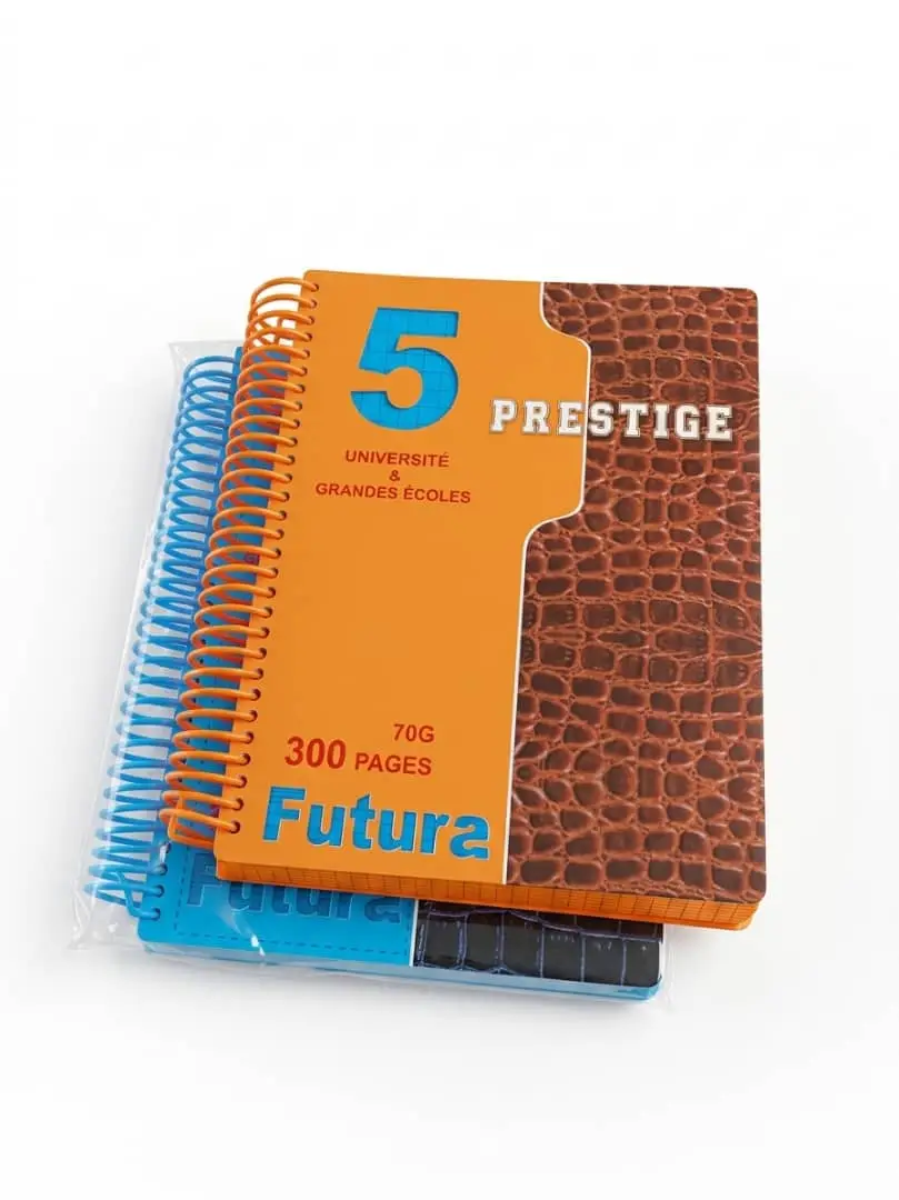 CAHIER SPIRAL 300P GF multicouleur