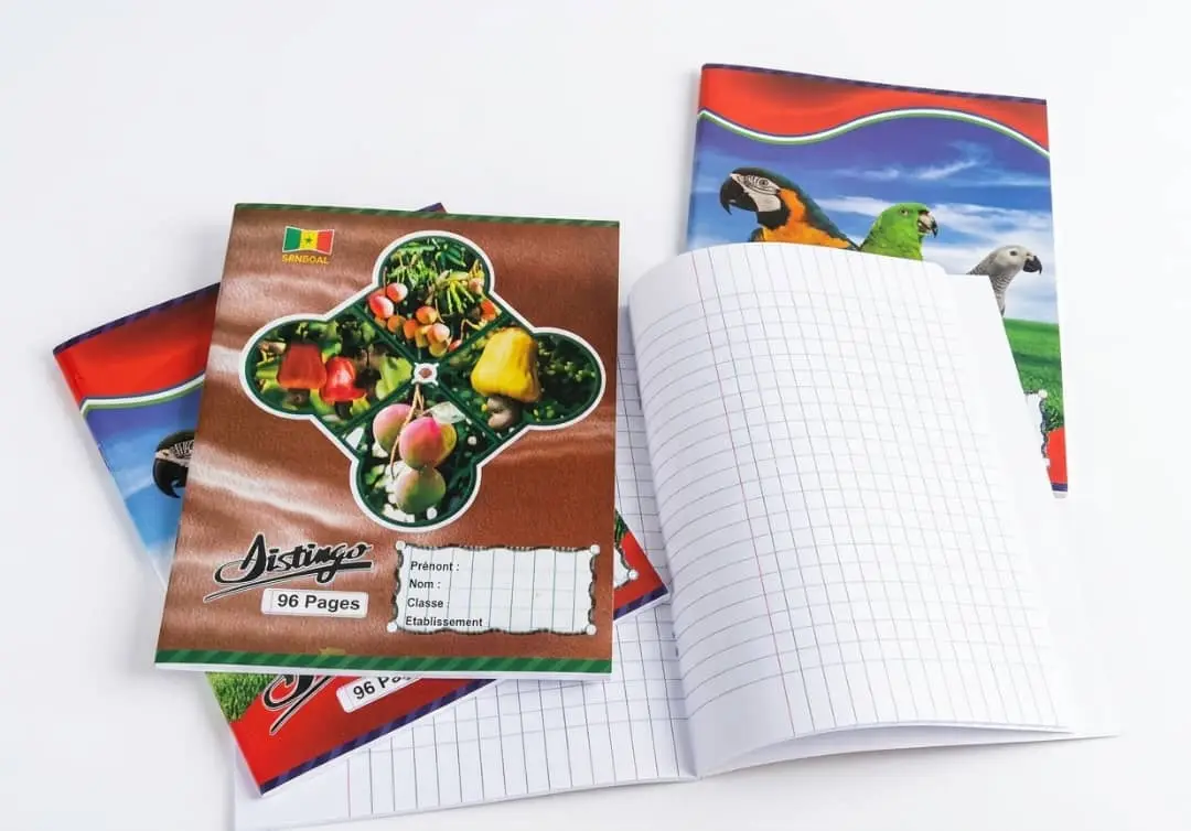 PAQUET CAHIER 48 PAGE (20psc)
