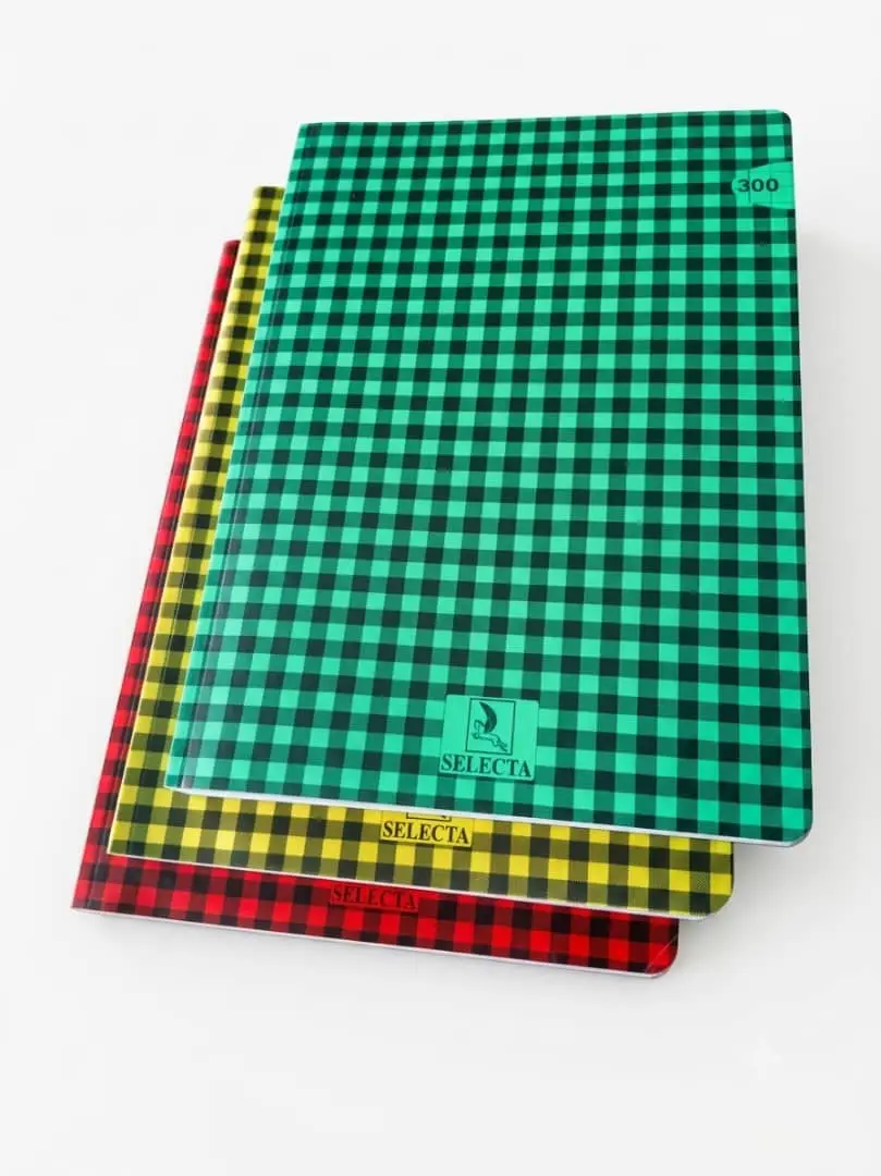 CAHIER 300P GF PLYPRO