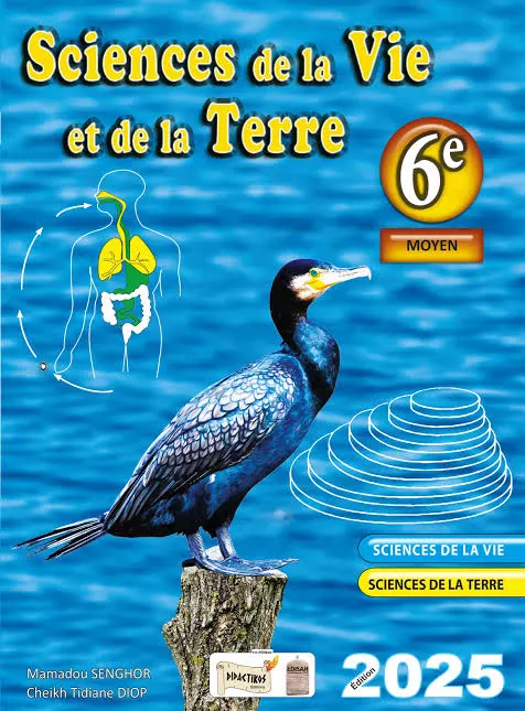 Sciences de la Vie et de la Terre 6e