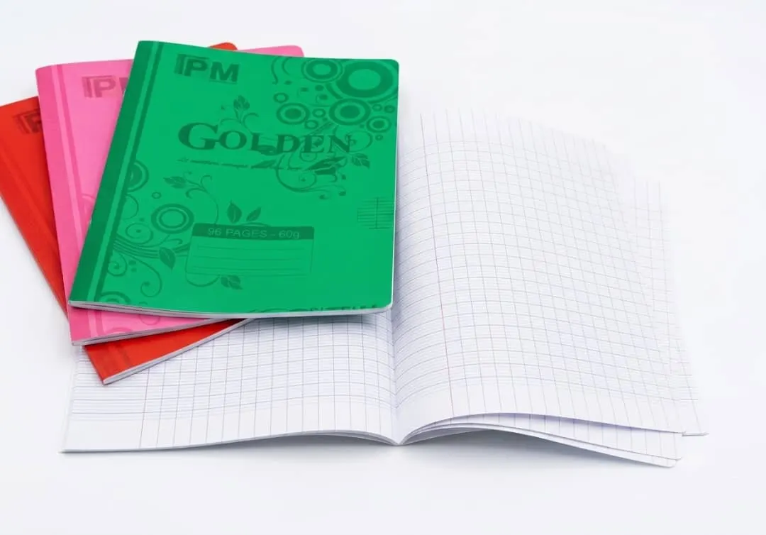 Cahier 100pages petit forma polypro